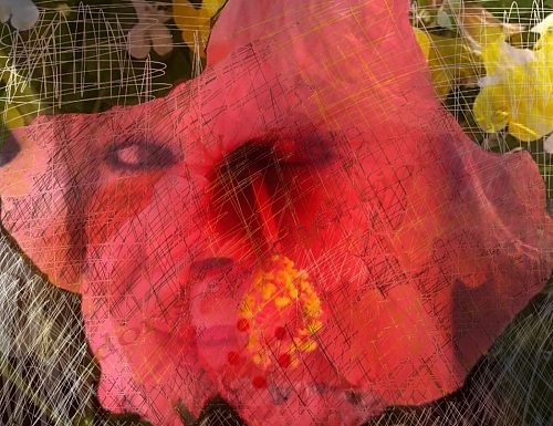 Crying in me flower / fleur qui me pleure - photography and drawing of in f - © Doris Stricher