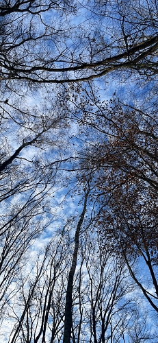  - &copy; Doris Stricher