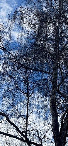  - &copy; Doris Stricher