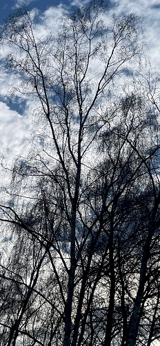  - &copy; Doris Stricher