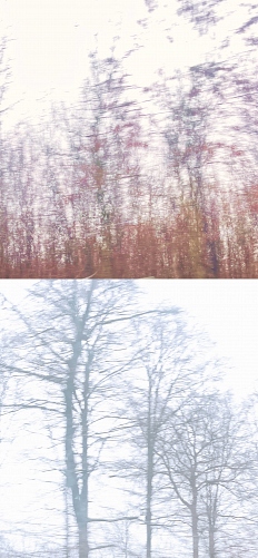  - &copy; Doris Stricher