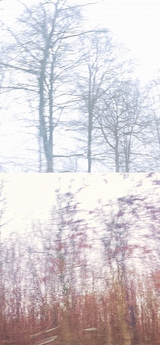  - &copy; Doris Stricher