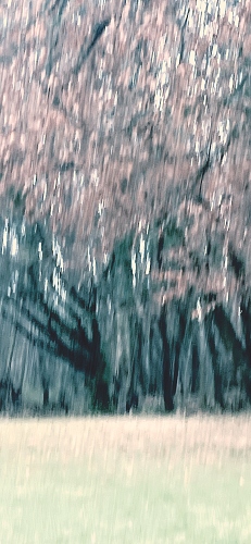  - &copy; Doris Stricher