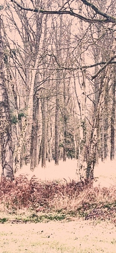  - &copy; Doris Stricher