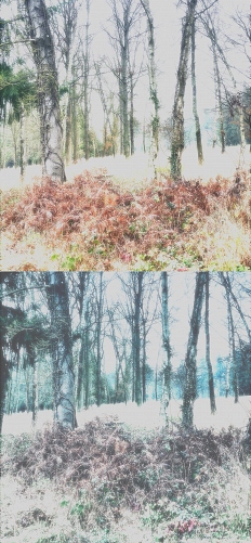  - &copy; Doris Stricher