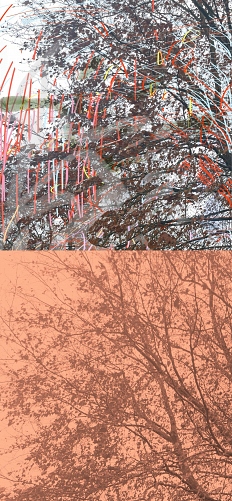  - &copy; Doris Stricher