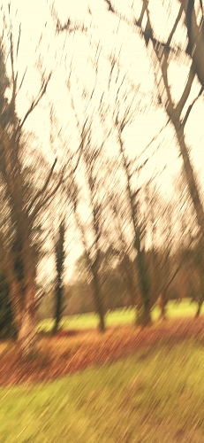  - &copy; Doris Stricher