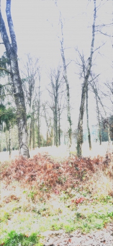  - &copy; Doris Stricher