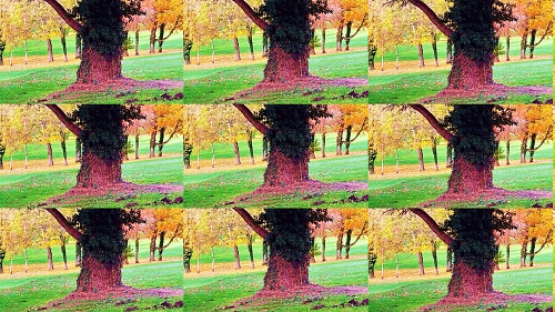  - &copy; Doris Stricher