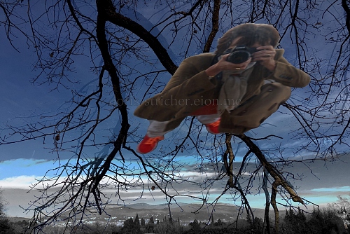 Flying in nature - poetic photography in photomontage  - © Doris Stricher