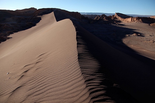 dune - © Doris Stricher