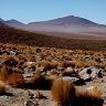 CHILE : ATACAMA desert 