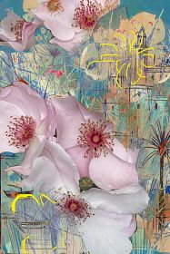 - © Doris Stricher