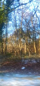  - &copy; Doris Stricher